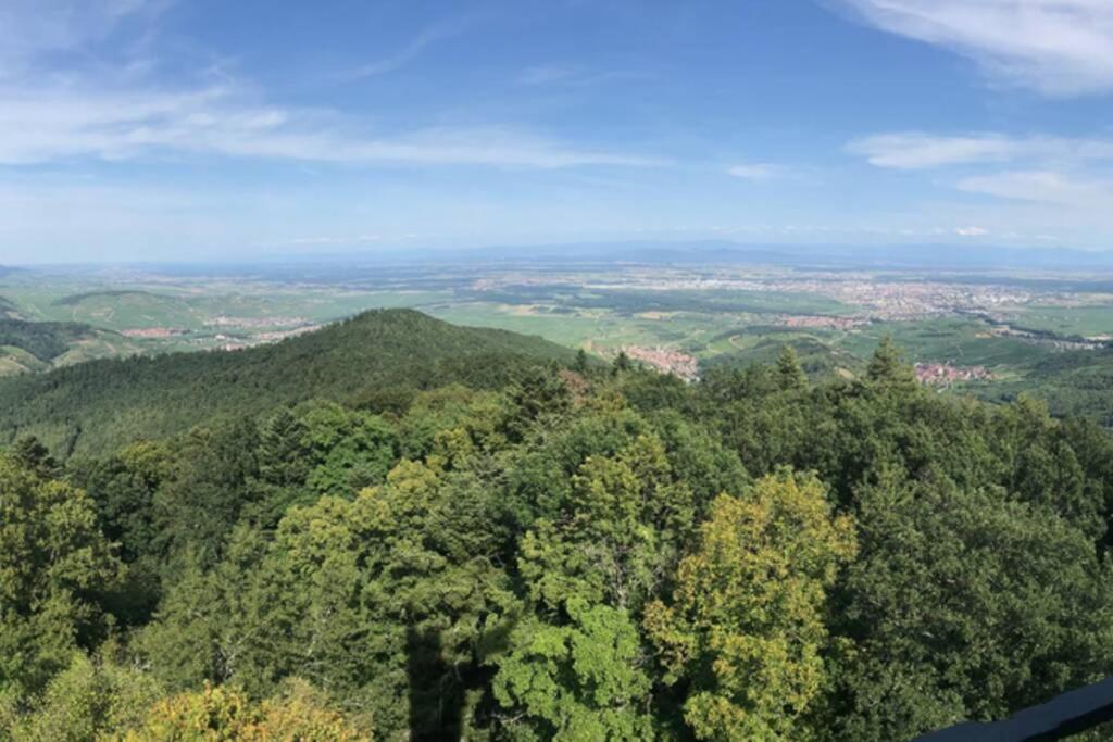 Le Galtz - Gites Marck Ammerschwihr Buitenkant foto