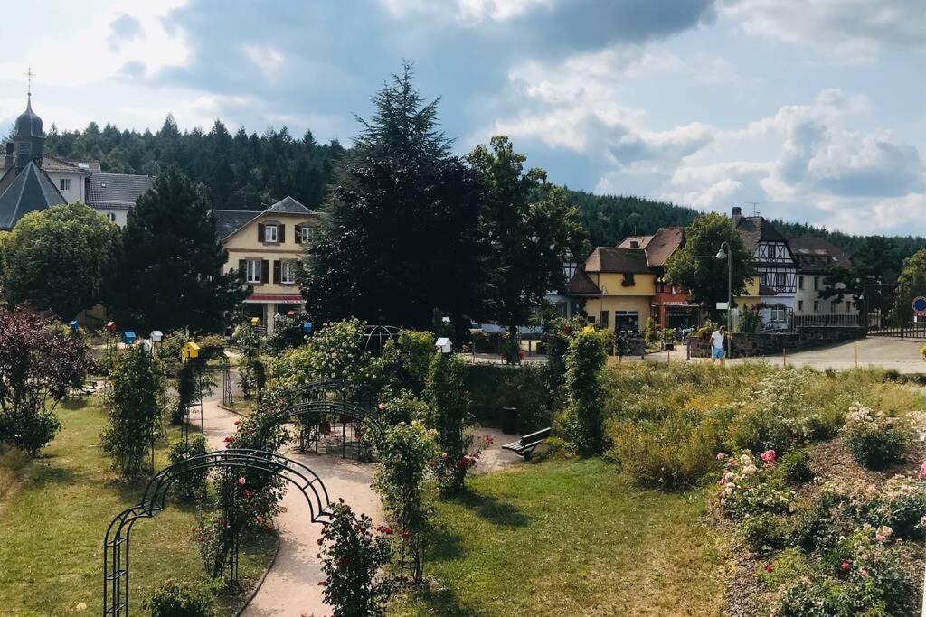 Le Galtz - Gites Marck Ammerschwihr Buitenkant foto